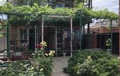 Туры в отель Dunyasha Guest House