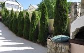 Туры в отель Alpiyskiy Guest House