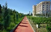 Туры в отель Connect Thermal Hotel