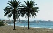 Туры в отель Fuerte Estepona