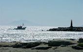 Туры в отель Fuerte Estepona