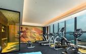 Туры в отель Hampton by Hilton Shenzhen Pingshan Station