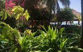 Туры в отель Full Moon Beach Resort