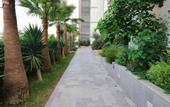 Туры в отель Bright Stylish 1bd Flat in Jardins De Carthage