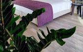 Туры в отель S Hotel Boutique Thessaloniki