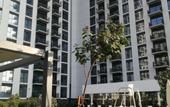 Туры в отель Nasma Luxury Stays - Dubai Hills
