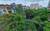 Туры в отель HB Serviced Apartment - 12 Tran Quy Kien