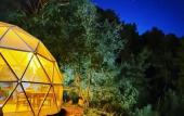 Туры в отель Evergreen Glamping