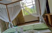Туры в отель Evergreen Villa - Sinharaja