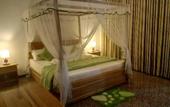 Туры в отель Evergreen Villa - Sinharaja