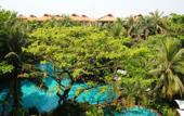 Туры в отель Furama Resort Danang