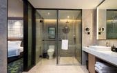 Туры в отель Hampton by Hilton Shenzhen Dongmen