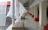 Туры в отель Bel Air Collection Resort & Spa Cancun