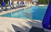 Туры в отель Holiday Inn Express Manisa - West