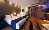 Туры в отель Holiday Inn Express Manisa - West