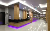 Туры в отель Holiday Inn Express Manisa - West