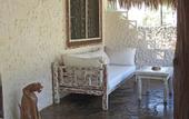 Туры в отель Tamu Beach Resort