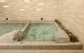 Туры в отель Hotel Villa Fontaine Grand Tokyo-ariake