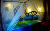 Туры в отель Villa Unique View
