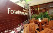 Туры в отель Forest Patong Hotel