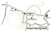 Туры в отель Forest Patong Hotel