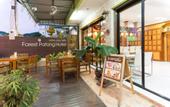 Туры в отель Forest Patong Hotel