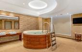 Туры в отель Golden Tulip Jalandhar