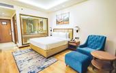 Туры в отель Golden Tulip Jalandhar
