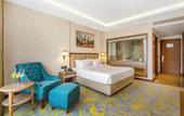 Туры в отель Golden Tulip Jalandhar