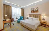 Туры в отель Golden Tulip Jalandhar