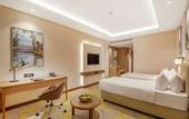 Туры в отель Golden Tulip Jalandhar