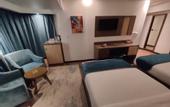 Туры в отель logistic hotel city stars