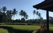 Туры в отель Puri Raya Villa Ubud