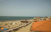 Туры в отель Dolphin Ras Elbar