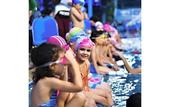 Туры в отель Dolphin Ras Elbar