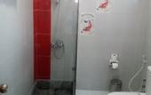 Туры в отель Dolphin Ras Elbar