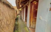 Туры в отель Segara Camp Kintamani
