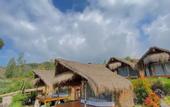 Туры в отель Segara Camp Kintamani