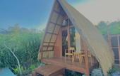 Туры в отель Segara Camp Kintamani
