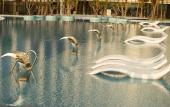 Туры в отель The Empyrean Cam Ranh Beach Resort Hotel