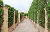 Туры в отель Grand Museum Pyramids Inn