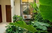 Туры в отель Larose Villas and Boutique Camp