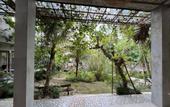 Туры в отель Nayaka Living Ubud