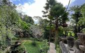 Туры в отель Nayaka Living Ubud