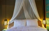 Туры в отель Nayaka Living Ubud