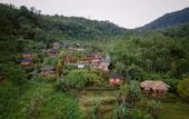 Туры в отель Munduk Menir Villas