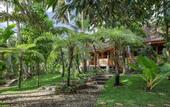 Туры в отель Rumah Kayu Resort