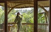 Туры в отель thewakanda Resort A Pramana Experience