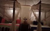 Туры в отель Suriya Guest Home Stay Mirissa