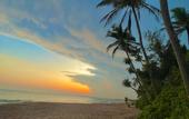 Туры в отель Ashansa Lagoon Resort